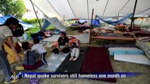 Nepal quake survivors hope to rebuild lives one month on