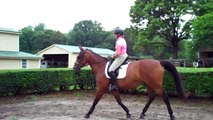 Going back to the basics. Can you keep a light rein in the trot canter transitions?