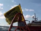 Greenpeace swimmer tells cod fishing trawler to stop