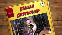 Italian Greyhound Meetup Feb 9, 2013