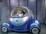 Futuristic Japanese Cars