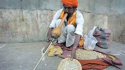 インド　インチキ　ヘビ使い