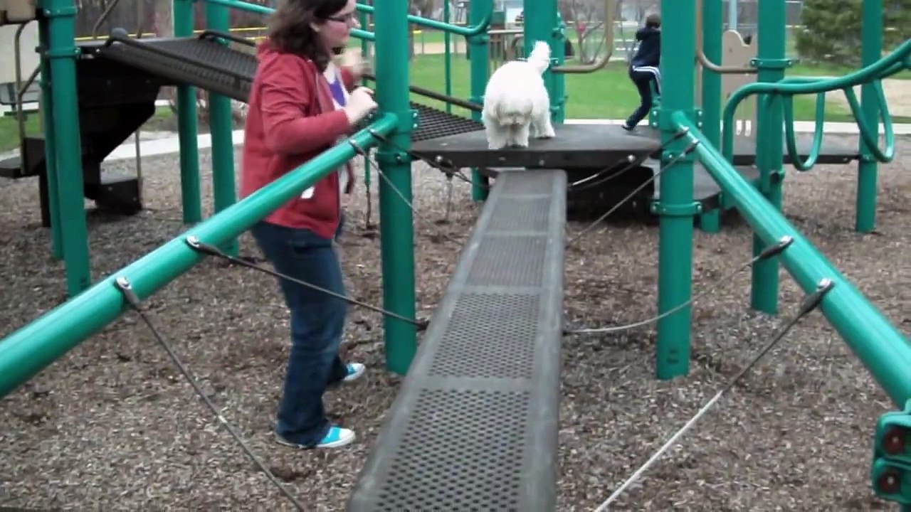 *GUARANTEED* to make you smile! Park Tricks!