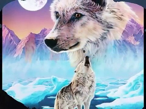 Les loups qui hurlent à la lune
