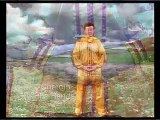 Falun Dafa - The Second Exercise - Falun Standing Stance