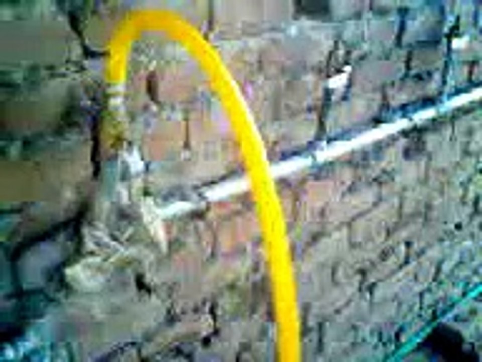 National bio gas Electric generation unit for 50 k.w dairy farm multan pakistan