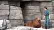 CUTE! First ever walrus pup born in German zoo makes its debut