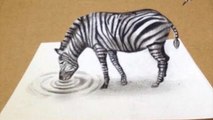 Artist creates epic 3D Zebra illusion