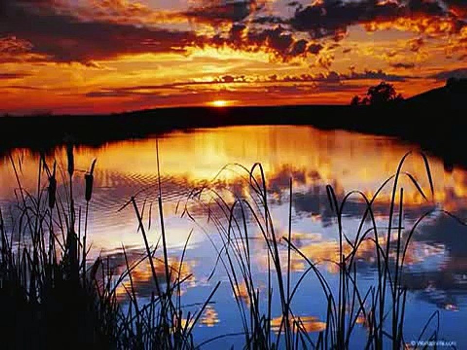 أنشودة رائعة سوف نبقى هنا كي يزول الالم