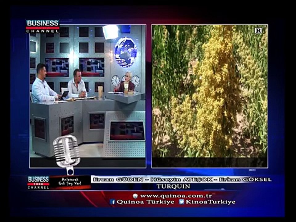 TURQUIN - Anlatacak Çok Şey Var  Gülgün Feyman ile - Business Channel Türk