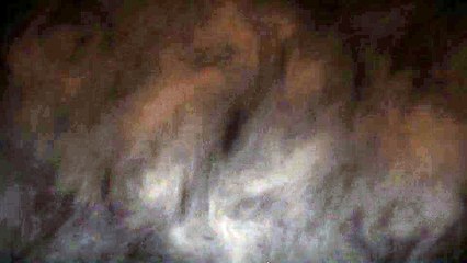 After Effects Project Files - Dark Shapes Logo - VideoHive 3920378