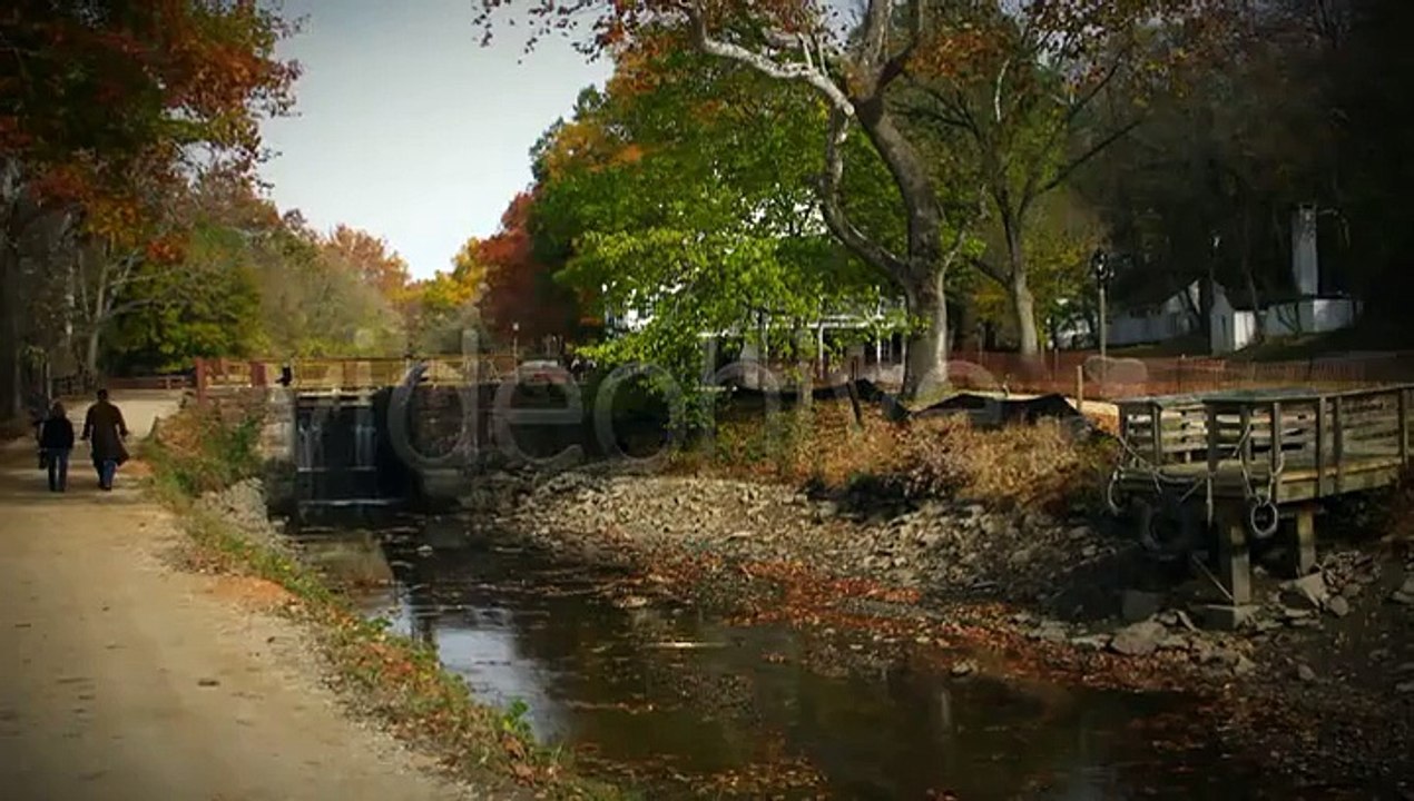 After Effects Project Files - Gray Magnify Lower Third - VideoHive 3029036