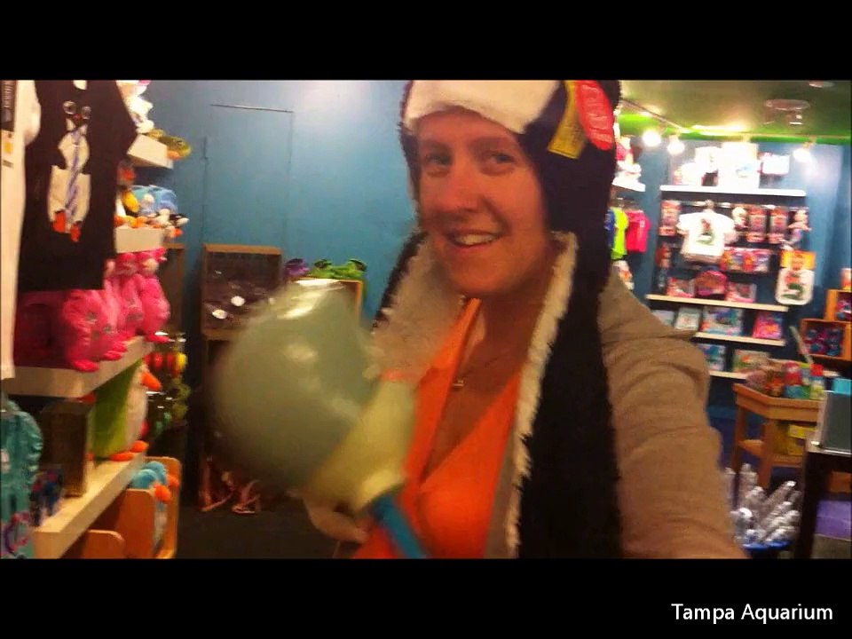 2012 Florida II - One more  night