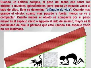 Como sobrevivir a un terremoto