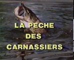 Histoires Naturelles : Pêche du Brochet à Montreuil Bellay