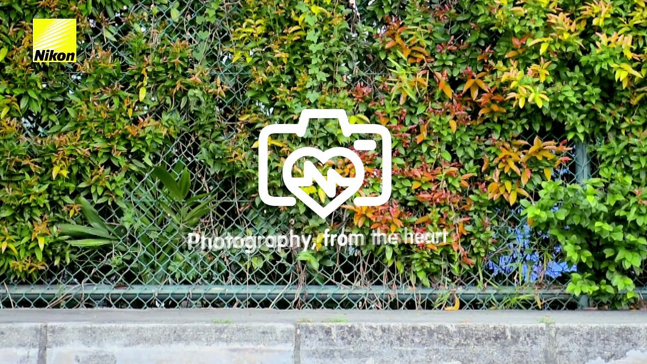 Nikon crée l'appareil photo pour ton chien !