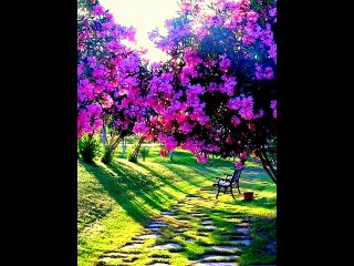 Orchestra Bagutti - Un anno in più