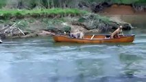 Hrabar pas koji spasava dva druga psa - Un chien courageux sauve deux chiens bloqués dans un canoe