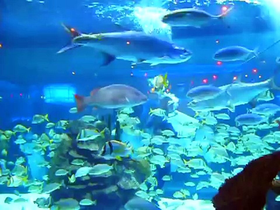 An Underwater Proposal