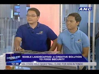 'Edible Landscaping': A creative solution to food security