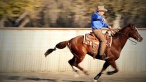 Monty Roberts' Horse Sense and Healing Clinics