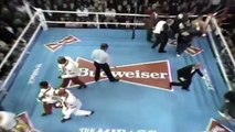 Mike Tyson vs Razor Ruddock 1991