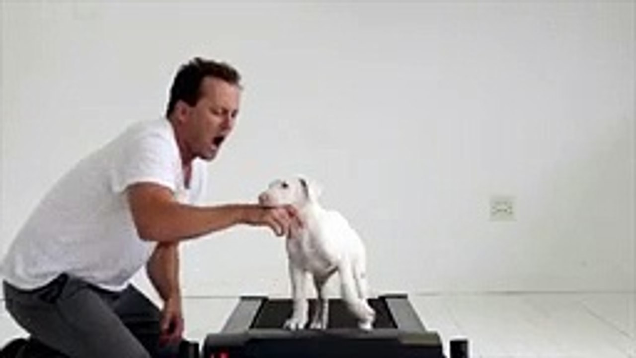 Touched with footage dog grows every day sickness