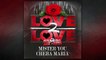DJ HAMIDA ft MISTER YOU & CHEBA MARIA " Love 2 Love " (Nouveau Son 2015).