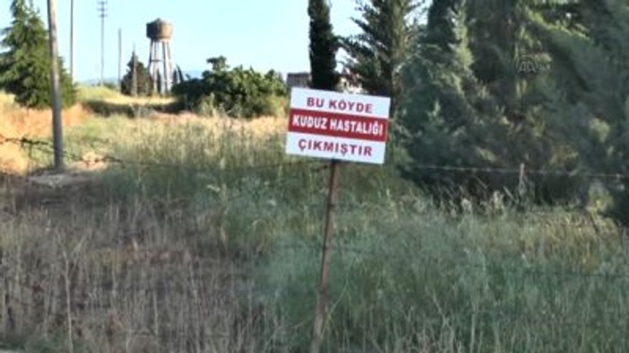 Kuduz Karantinası