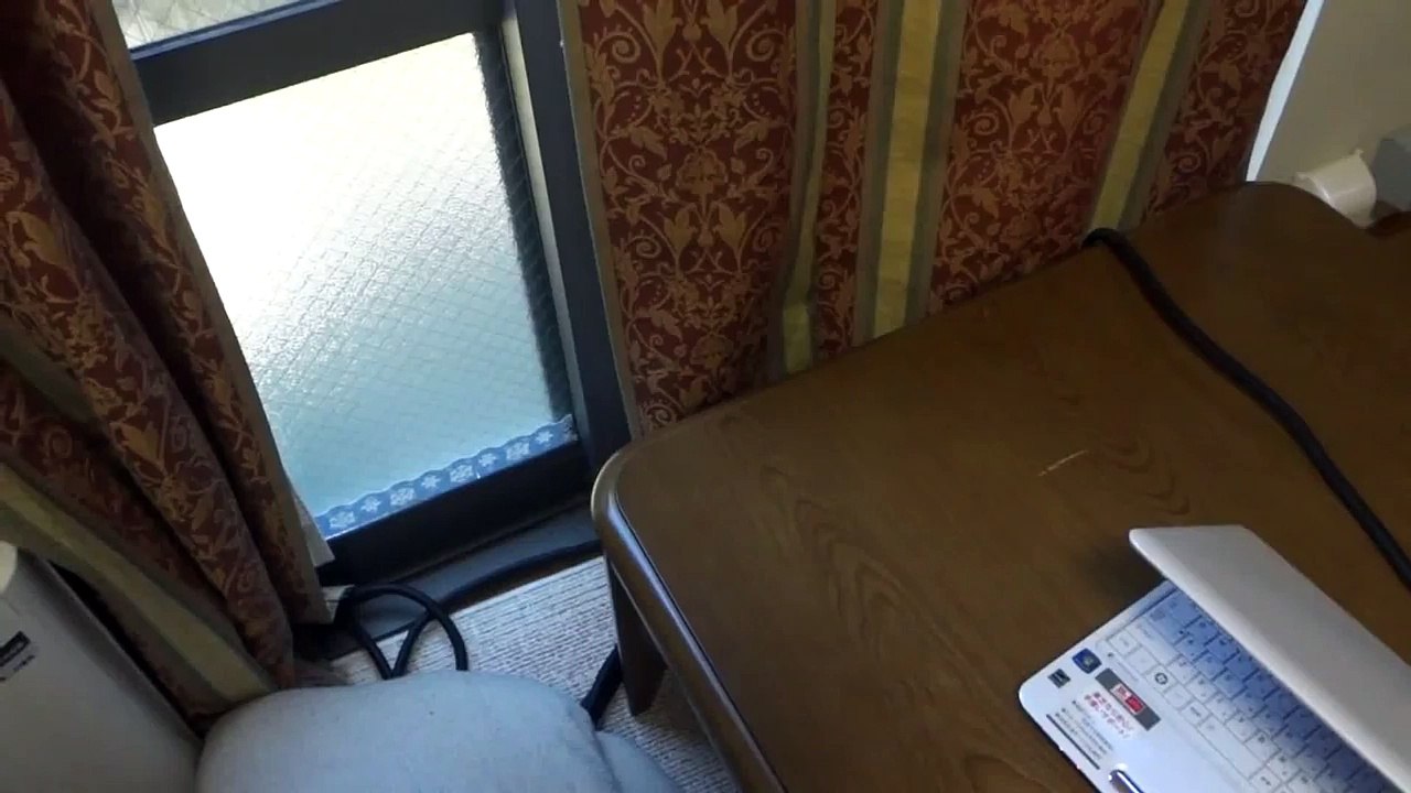 猫がやたら外を気にするので見てみると...　- the cat finds the stray cat -