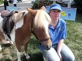 CUTEST MINI HORSE apprentices for pony ride job filmed by Twombly Publishing