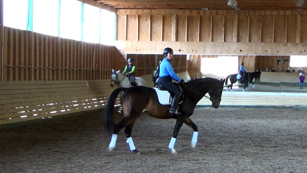 Mary Wanless Clinic, Sharon riding her horse