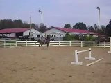 Tennessee walking Gaited horse jumping