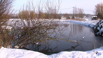 2013 Le marais en hiver