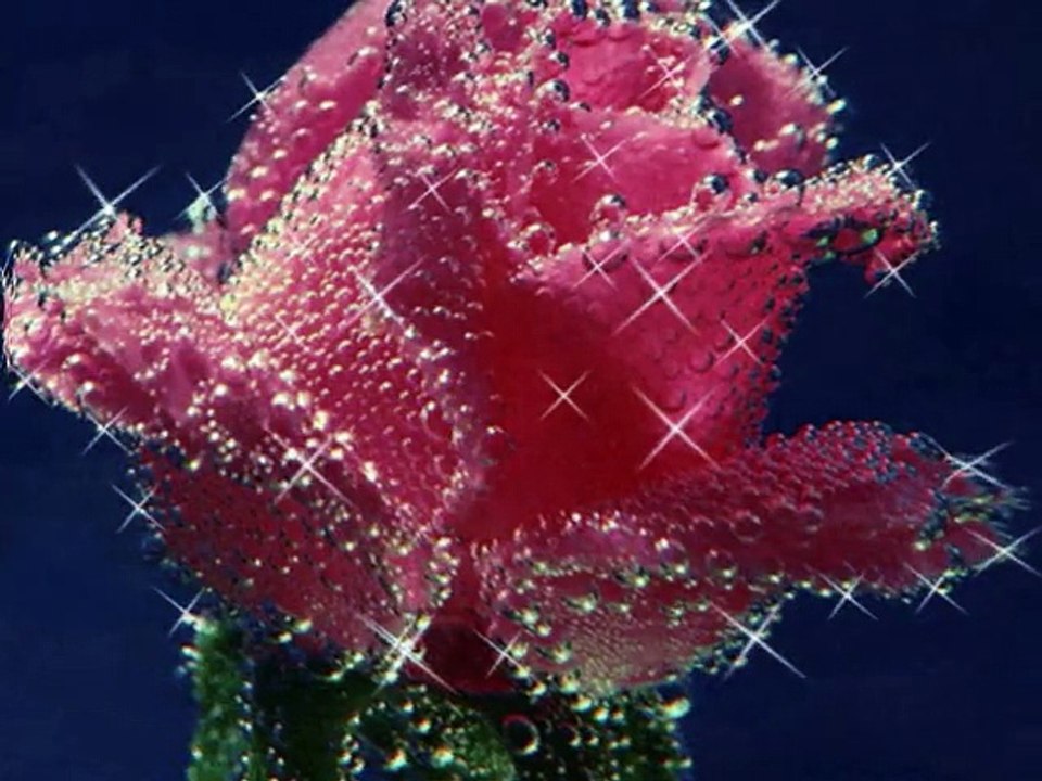 Jean Pierre Savelli *CIEL *