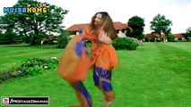Main Pijdi Rahi Mujra By Reema Jaan (Dancer)