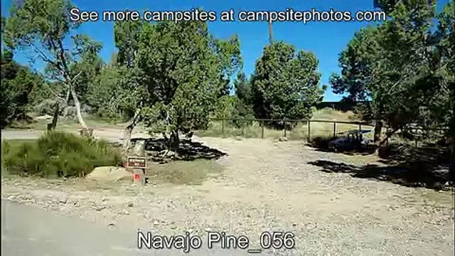Navajo Lake State Park Pine Main Campground, NM Campsite Photos