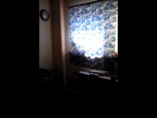 Scared/Angry Kitty Cat