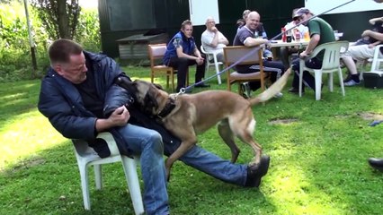 De Doorbijters Zevenaar (HD KNPV K9 PSA)