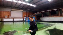 Bucketlist: Shark & ray centre