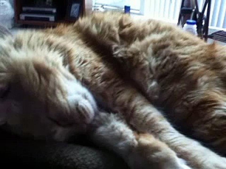 ROCKY BALBOA  THE EYE OF THE TIGER