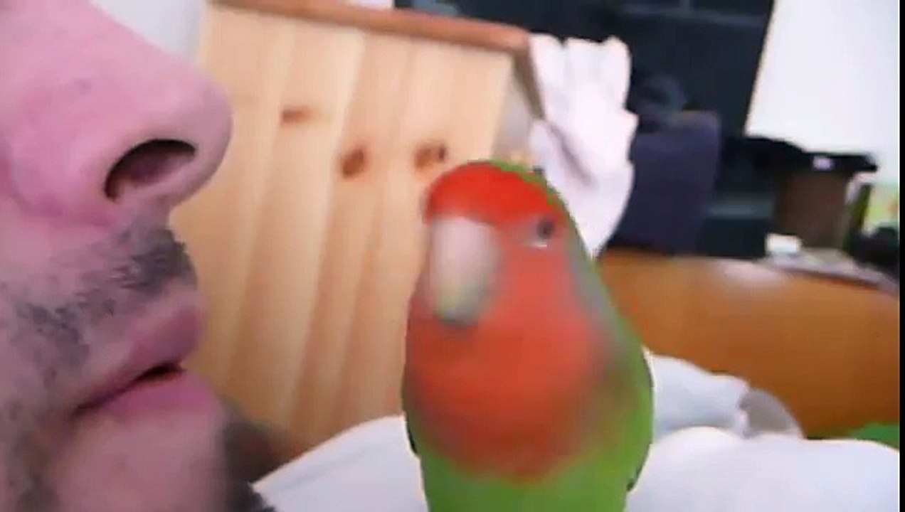 Igor Being Happy