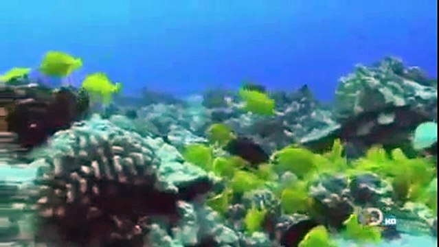 Travel Documentary BBC Hawaii Atlas Discovery Travel Tourism Documentaries Full Length