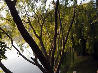 FOTOS CÉLIA MARÇAL MÚSICA- MOACYR FRANCO --QUE SERÁ DE TI .wmv