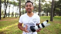 Sony 70-200mm f2.8 SSM G Series II Lens Review