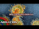 Pinay nurse dies of MERS-CoV