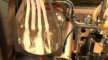 Lely Süt Robotu: İnsansız Süt Sağım Teknolojisi