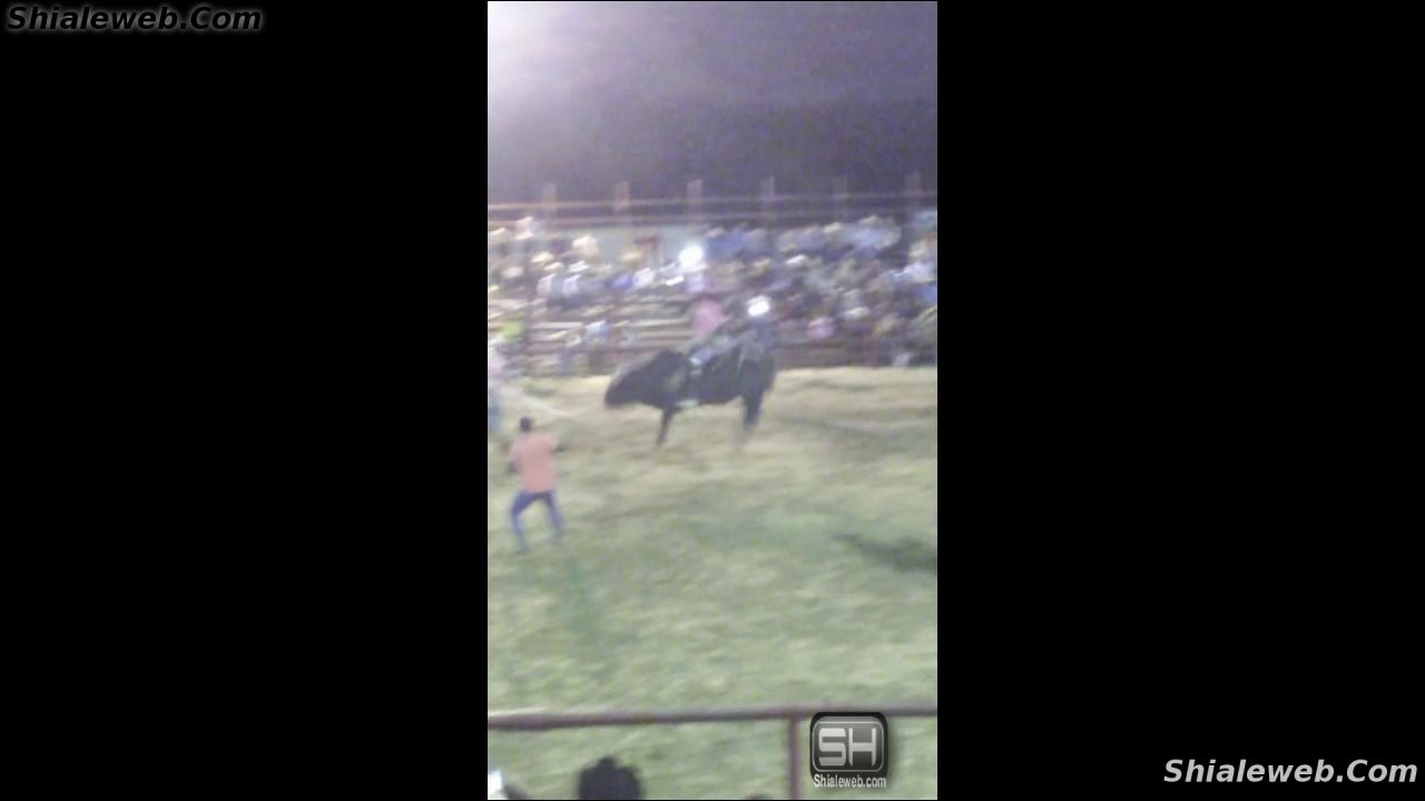 SUPER JARIPEO EXTREMO FATAL MONTA EN LA PLAZA MEXICO TOROS SALVAJES MONTADOS POR VALIENTES JINETES  GRAN ESPECTACULO MAYO 2015