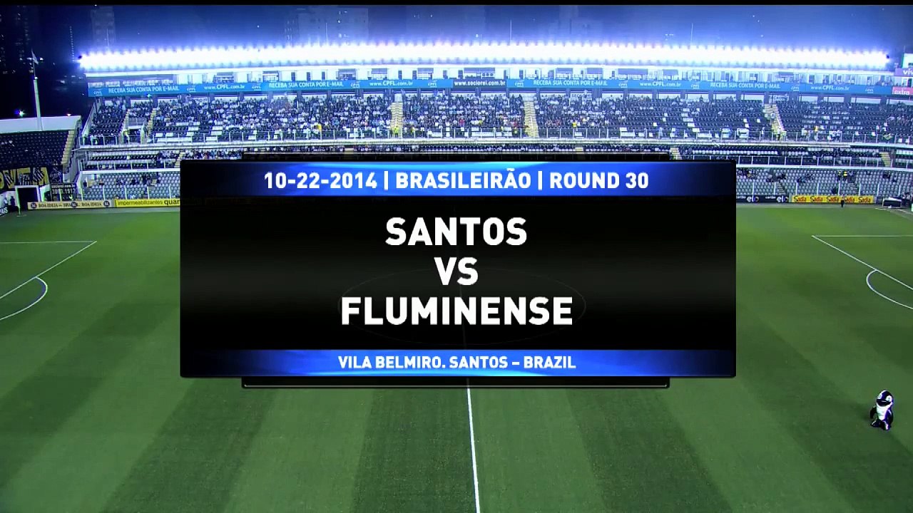 Santos vs Fluminense | 2014