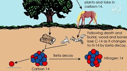 Creation v. Evolution: How Carbon Dating Works